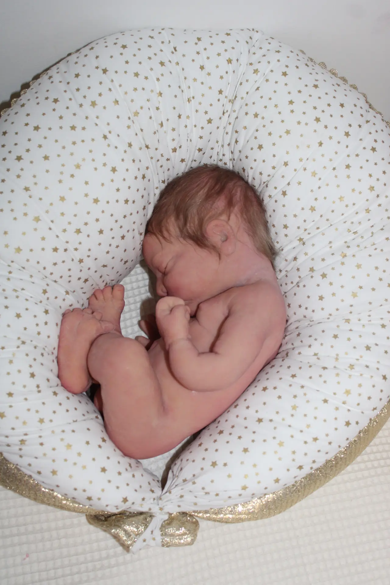 Le modèle Cherry, paisiblement recroquevillé dans son petit coussin.